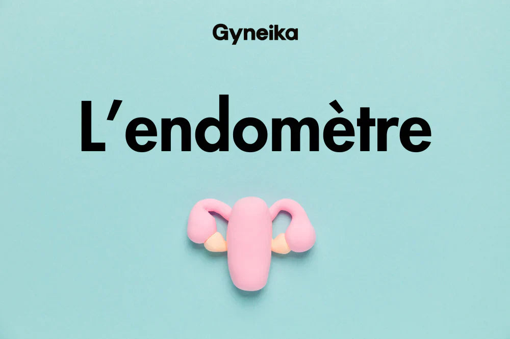 A quoi sert l'endomètre ? Gyneika