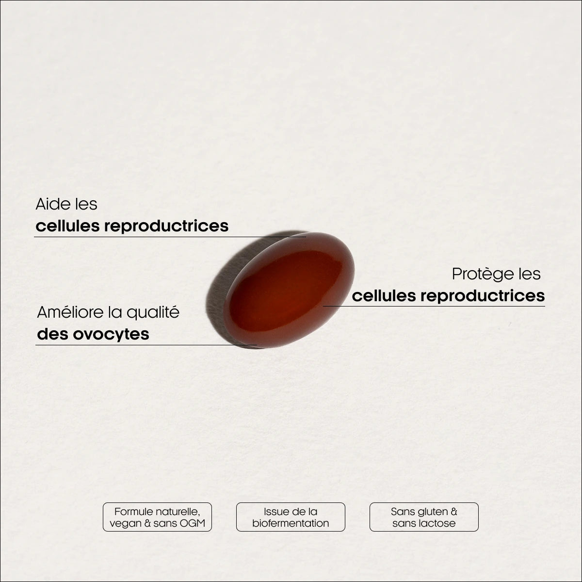 Pack Fertilité