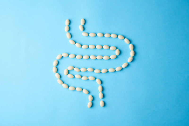 La glutamine : les bienfaits pour les intestins