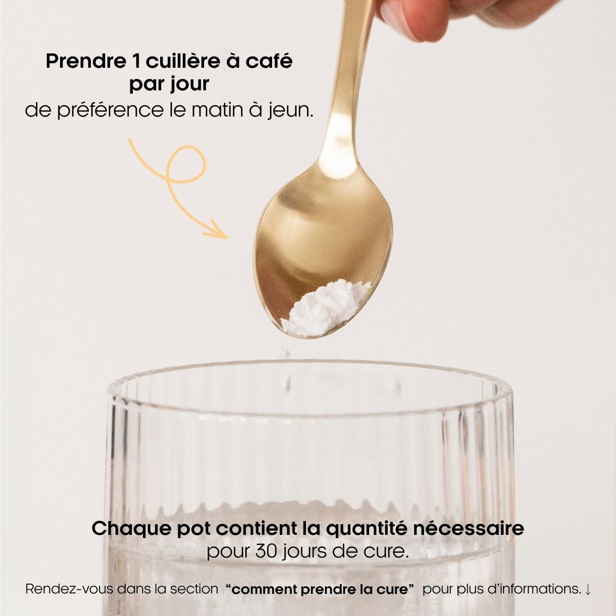 posologie-nature-morte-L-Glutamine gyneika