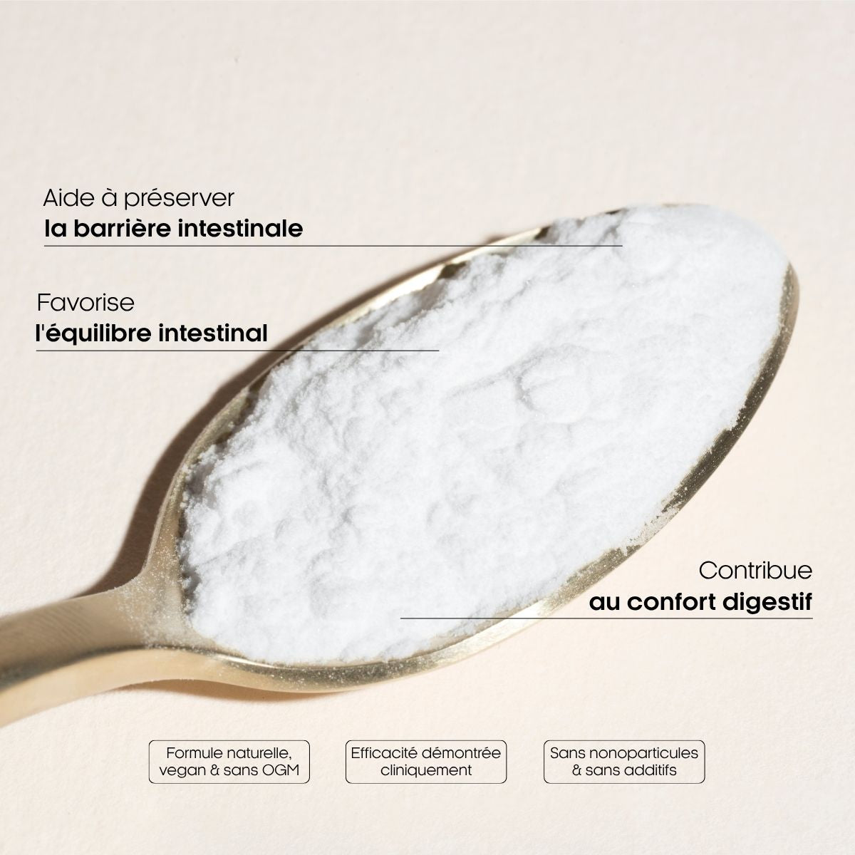 poudre-cuillere-bienfaits-L-glutamine gyneika